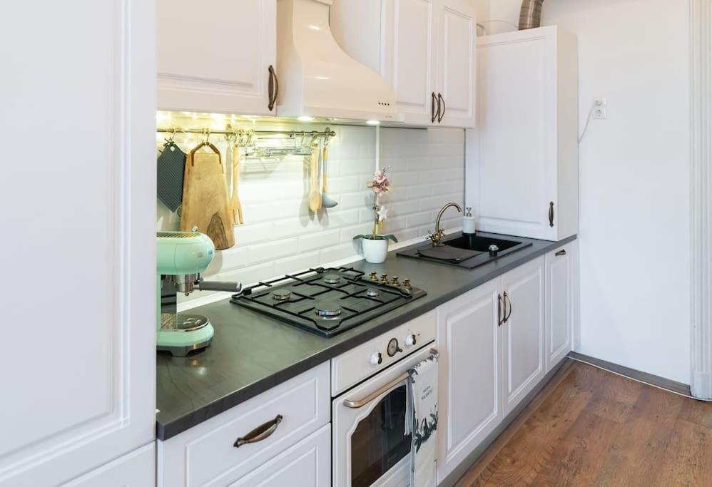 No.8: Lovely & Cosy 3-Room Heart Of The City Timisoara Exterior photo